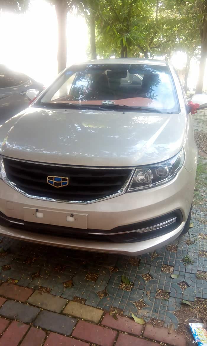 菜鸟提远景流光金