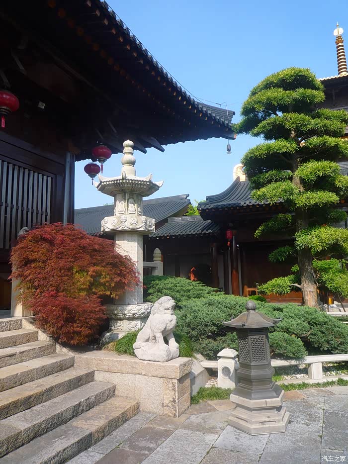 万物复苏送福利广富林文化遗址公园之知也禅寺