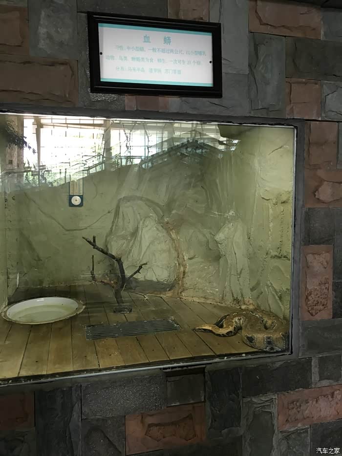 【大连cs75车友俱乐部520】参观旅顺蛇博物馆(胆小慎入)