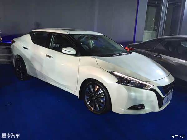 蓝鸟什么颜色好看求实图