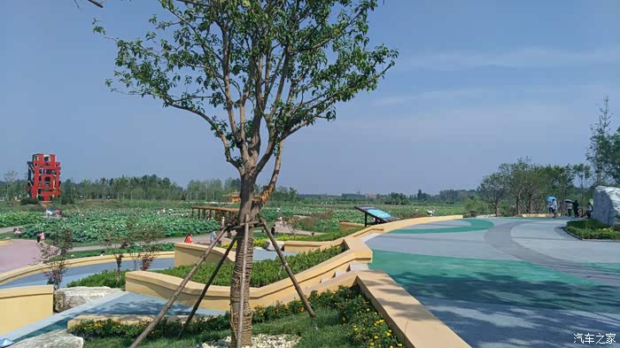 百里画廊千亩荷塘眉县金渠渭河段