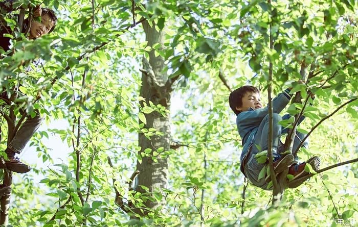 回忆儿时的夏天