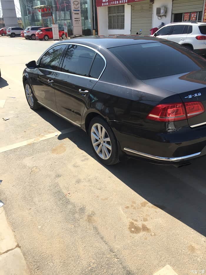 各位车友有迈腾摩卡棕的实车图片吗