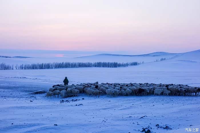 呼伦贝尔大草原的雪,壮丽的北国风光.
