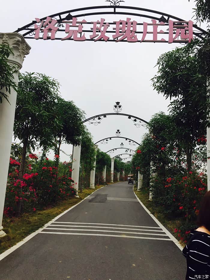 美丽南方洛克玫瑰庄园