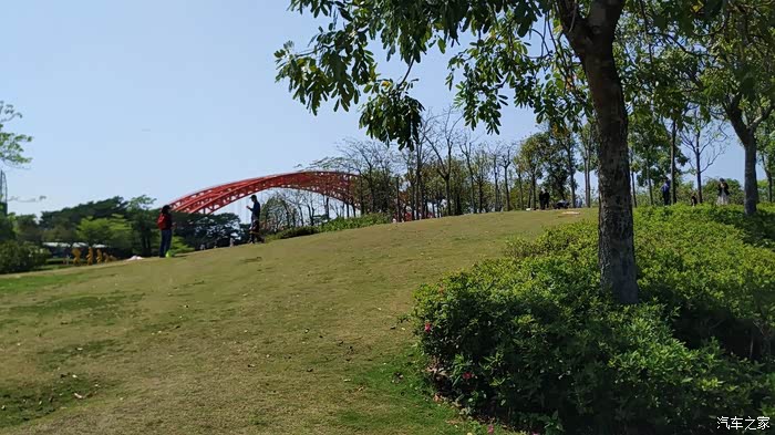 美丽龙湾就在乐跑湿地公园