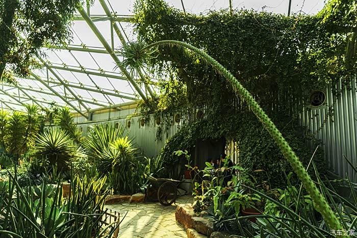 植物植物园温房多肉馆