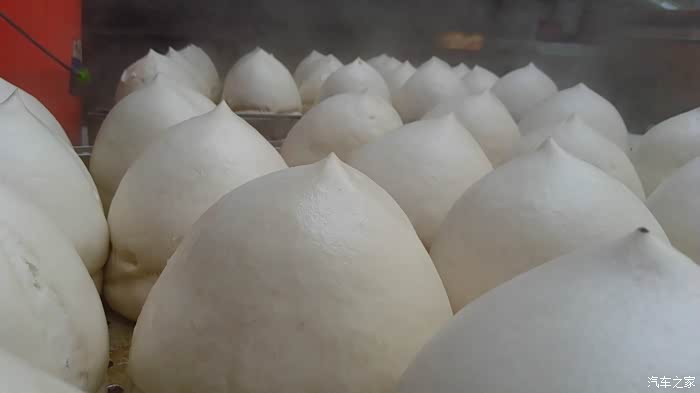 寒食节拍摄寒燕燕