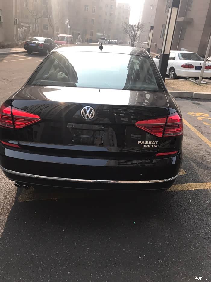 帕萨特300tsi政府采购版提车