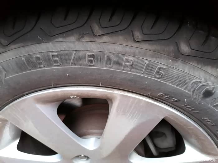 老轩之翼踏征程深秋赏景大山中