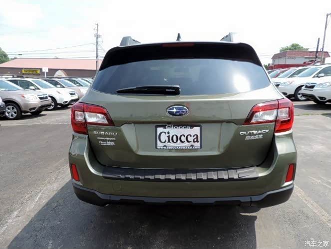 没见有人发过野生绿颜色的傲虎我来发几张