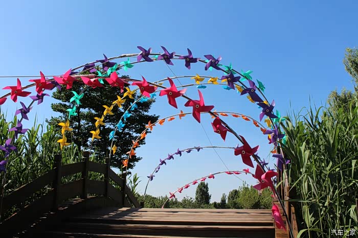 临走时候发现门口这个风车拱门真漂亮在风中沙沙作响