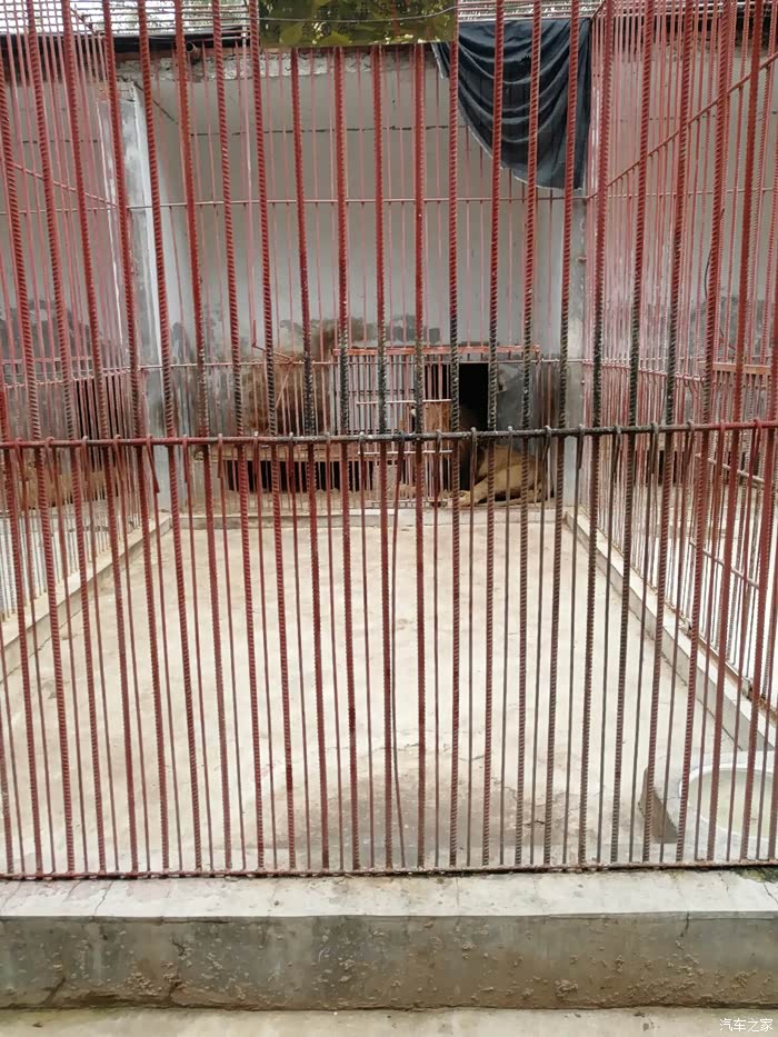 自驾山西省运城市夏县动物园1