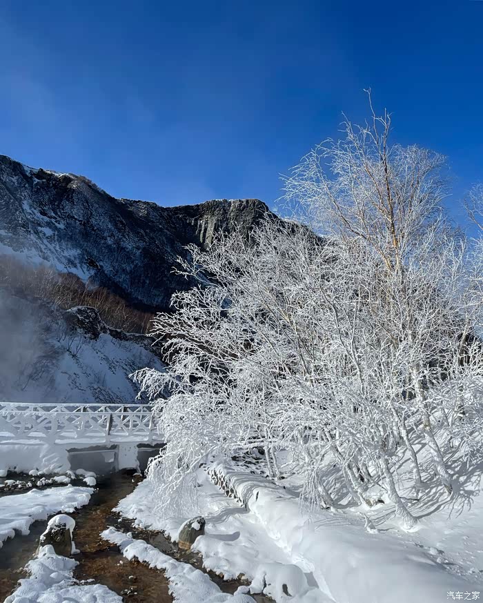 雪花飘飘的北国风光