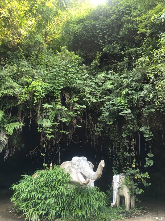 大关黄连河之旅