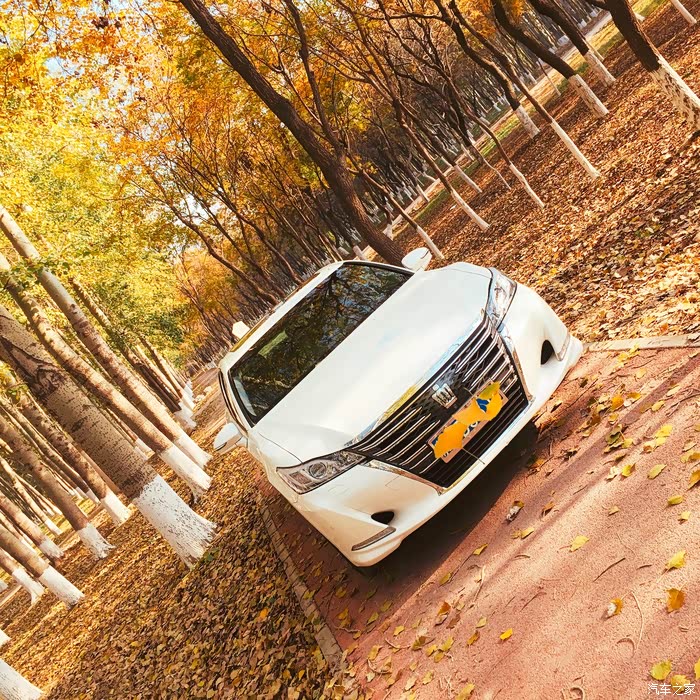 【图】秋日私语-和媳妇钻小树林拍皇冠_皇冠论