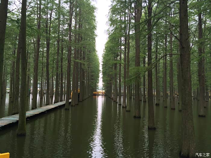 风景秀美的扬州绿杨湖