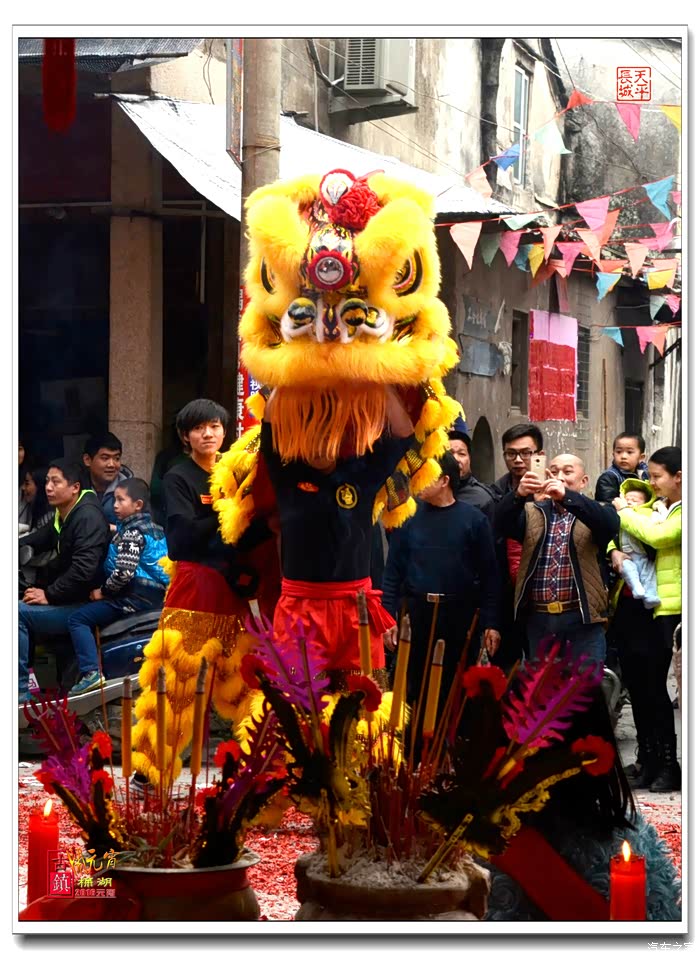 金狮贺春——2016猴年元宵于揭阳揭西棉湖古镇_广东论坛_汽车之家论坛