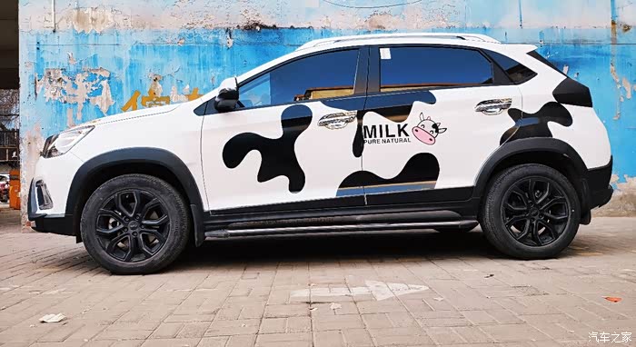 新年来啦给小白整身小奶牛