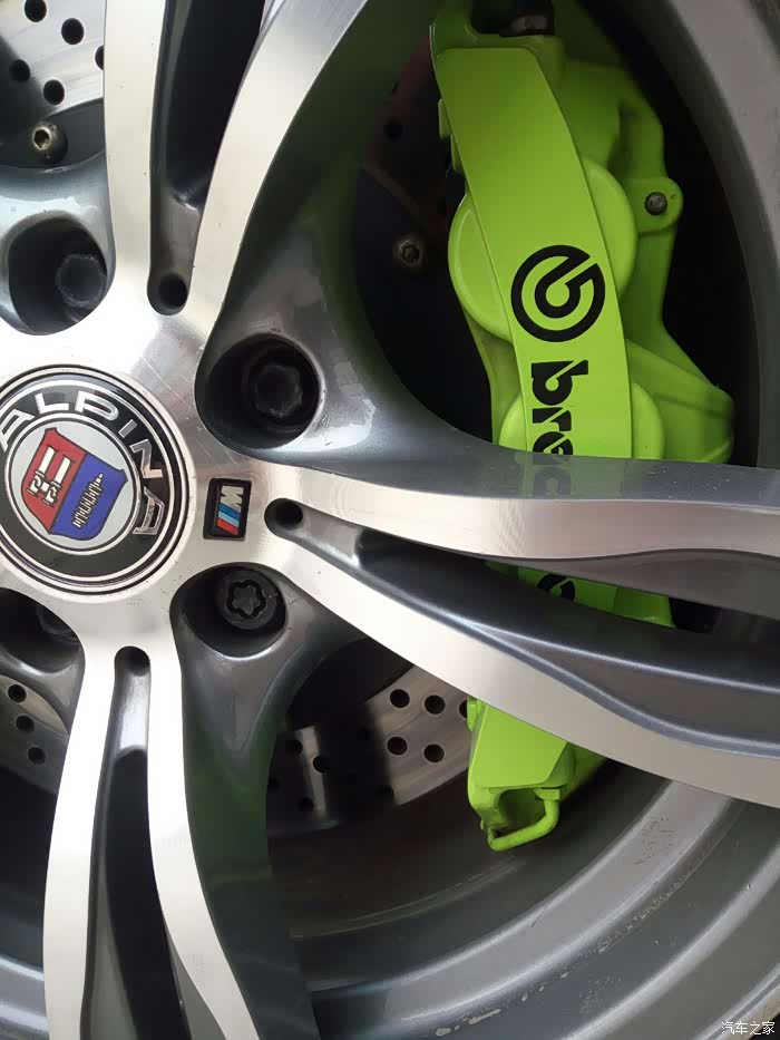 5个月小作希望能入法眼