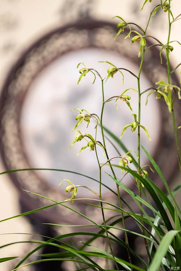 鼋头渚别样的冬天,这一份静谧幽静,这一份雅致独特
