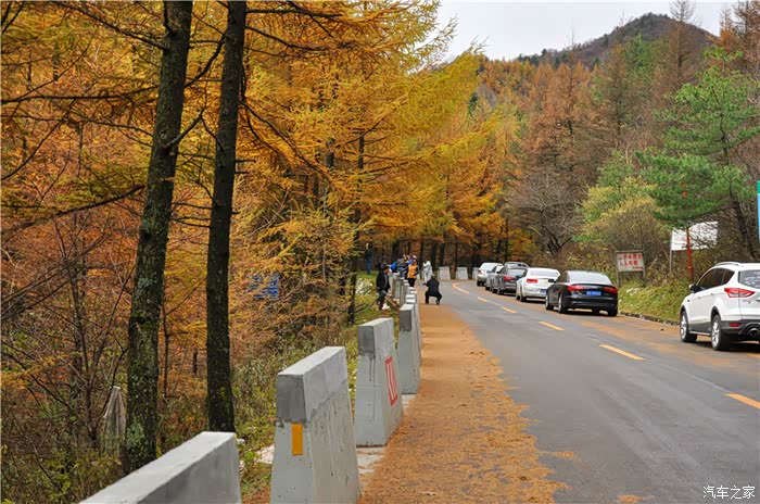 秦岭秋色国道210秦岭段