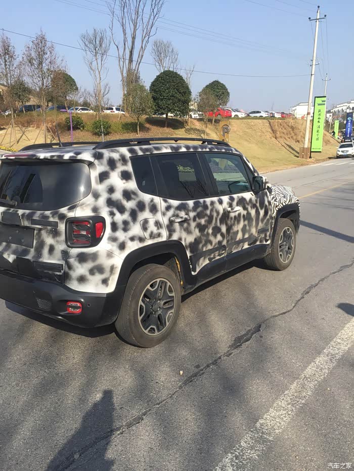 【图】实拍自由侠 国内现车 尤文图斯斑马纹配色_自由侠论坛_汽车之家