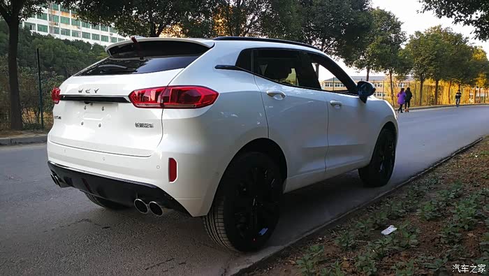 2017感恩回馈择己所爱提雪域白vv5旗舰版参加论坛活动帖