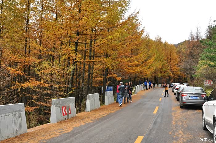 秦岭秋色国道210秦岭段