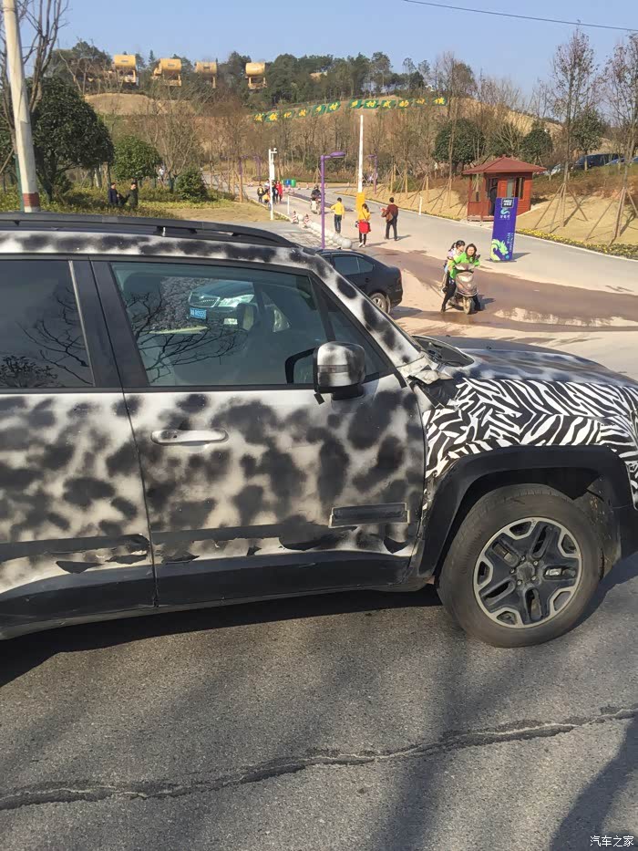 【图】实拍自由侠 国内现车 尤文图斯斑马纹配色_自由侠论坛_汽车之家