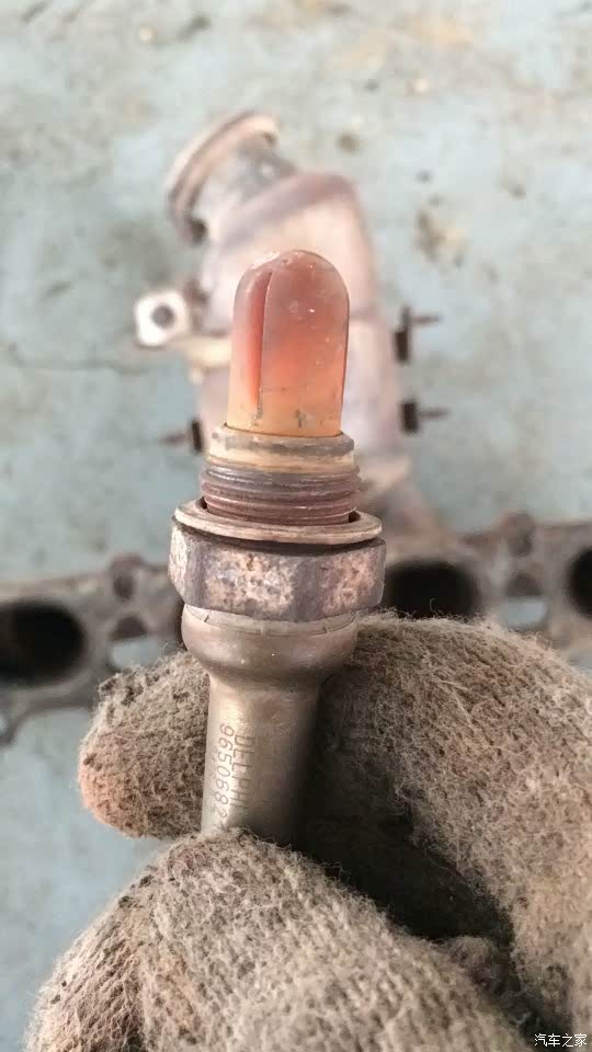 求教氧传感器颜色问题.来大神