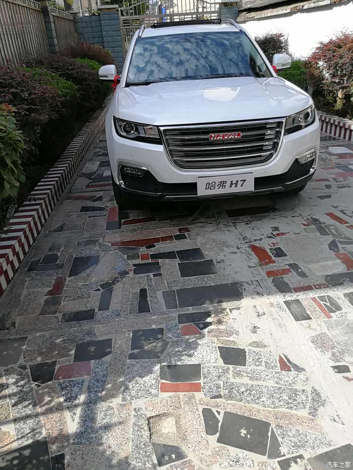 8月17日提现车白豪.