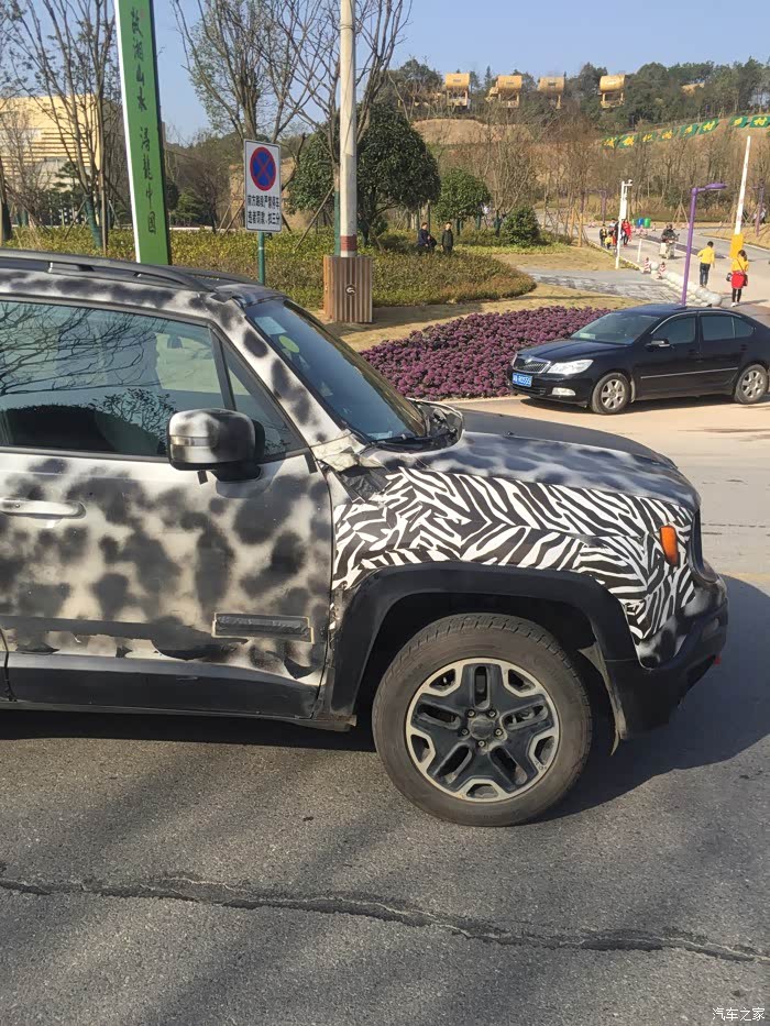 【图】实拍自由侠 国内现车 尤文图斯斑马纹配色_自由侠论坛_汽车之家