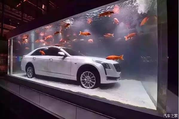 汽车进鱼缸是为了向星爷致敬?