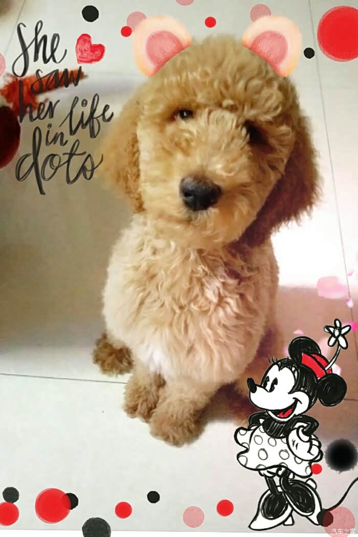 与车无关带我的妮娜来逛逛