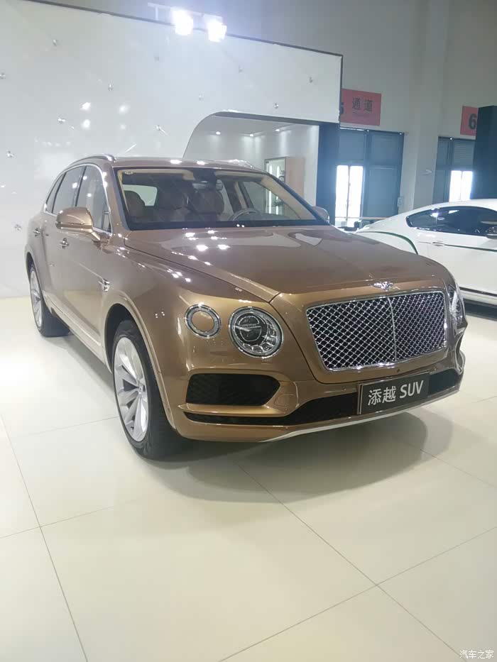 红河车展小6于小7霸气合影