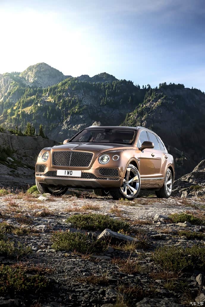 添越,宾利bentaygasuv,高贵典雅.