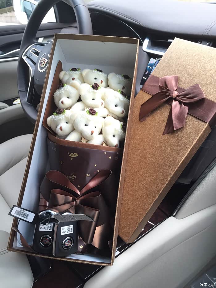 大白高清提车作业,献给老婆而立之年的生日礼物~~申请加精!