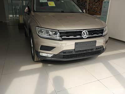 进口tiguan280tsi香槟金提车