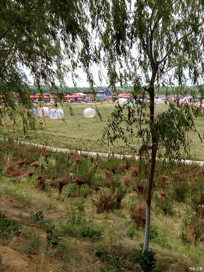 山东长安车友会自驾游上善公园