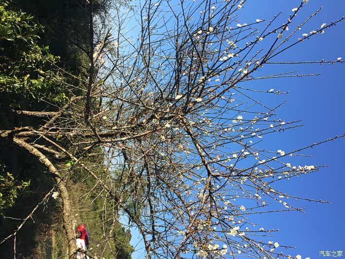 h2手豪马峦山自驾游 山顶梅花图 全程爬坡视频