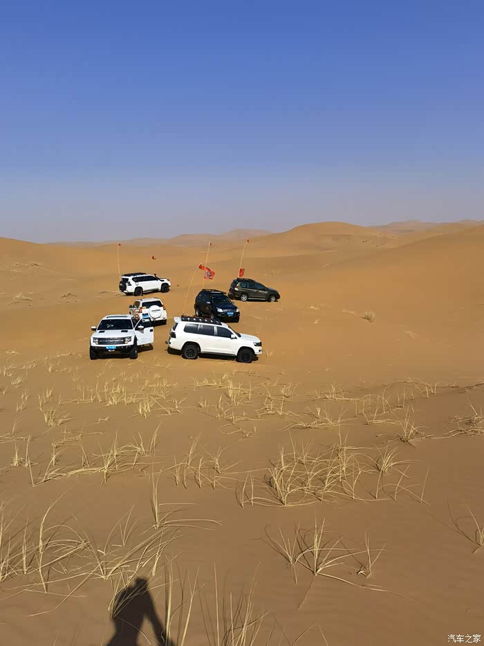 丰田酷路泽带我穿越沙漠