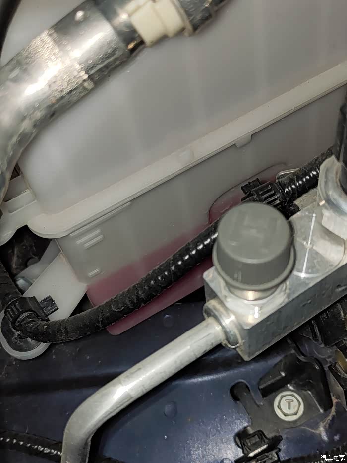 【图】水箱这个防冻液水位正常吗_雷克萨斯es论坛_汽车之家论坛