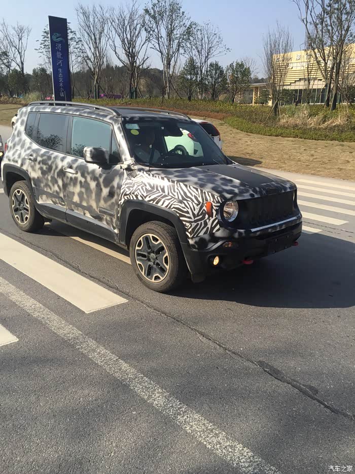 【图】实拍自由侠 国内现车 尤文图斯斑马纹配色_自由侠论坛_汽车之家