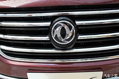 距离拍张银光闪闪双飞燕车标耐看