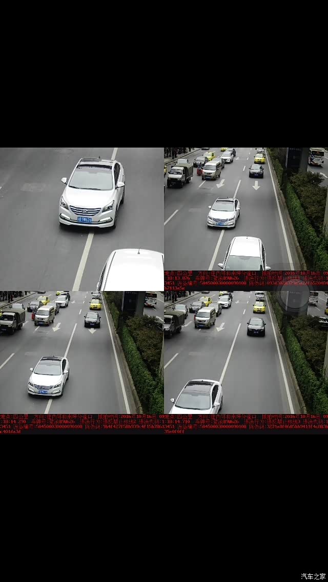 交通违章小能手,来帮忙看看