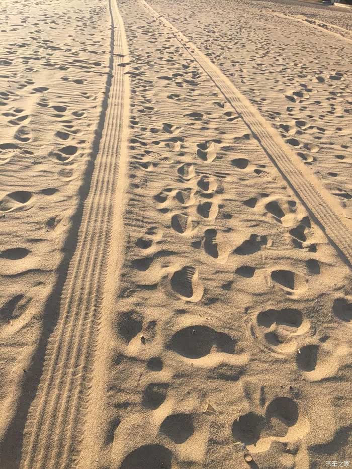 沙滩上的车辙印