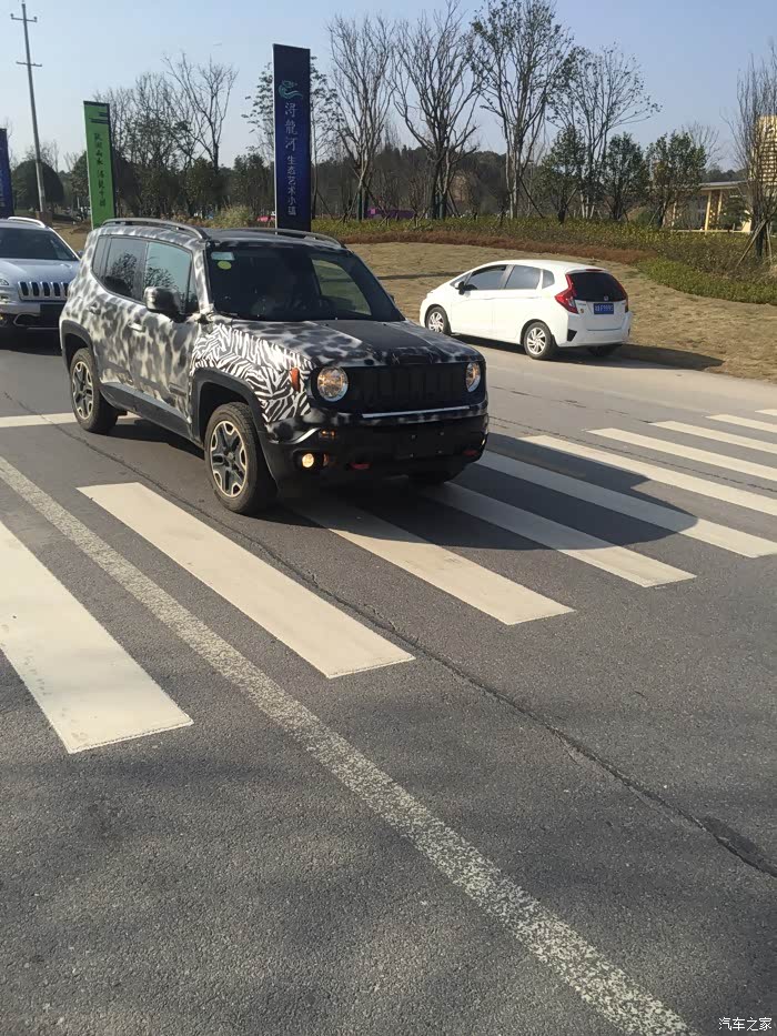 【图】实拍自由侠 国内现车 尤文图斯斑马纹配色_自由侠论坛_汽车之家