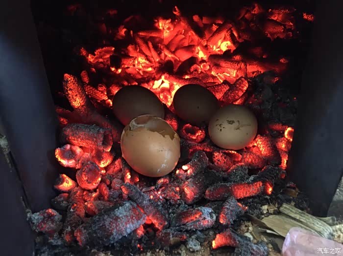 大家知道这个什么,这就烤鸡蛋,能入火里烤鸡蛋也非同一般鸡蛋,都在