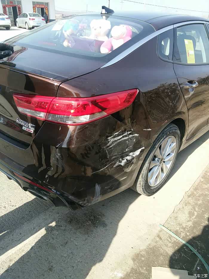 【图】新年第一撞_起亚k5论坛_汽车之家论坛